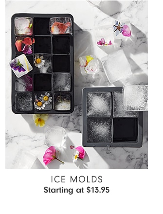 Ice molds - Starting at $13.95