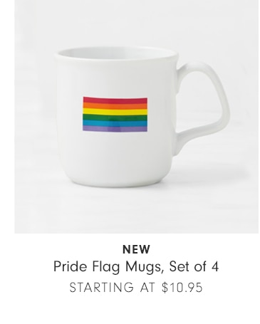 Pride Flag Mugs, Set of 4 - STARTING AT $8.21