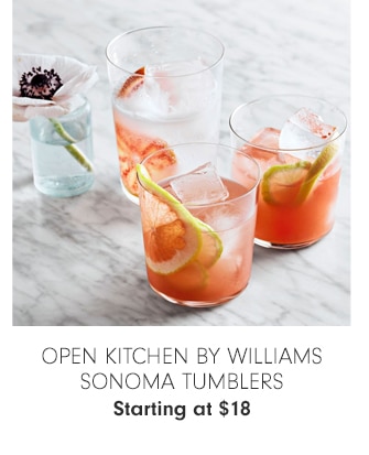 OPEN KITCHEN WILLIAMS SONOMA TUMBLERS - Starting at $18