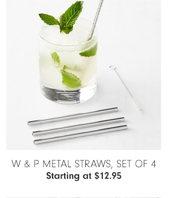 W & P METAL STRAWS, SET OF 4 - Starting at $12.95