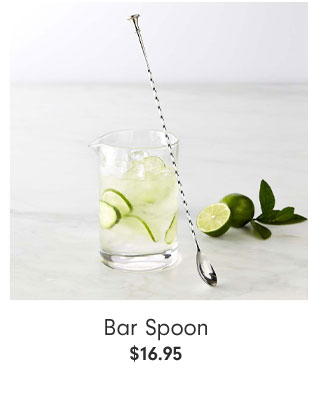 Bar Spoon $16.95