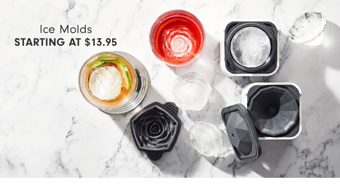 Ice Molds Starting at $13.95