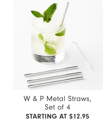 W & P Metal Straws, Set of 4 Starting at $12.95