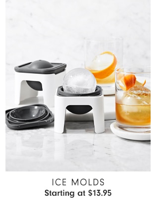 Ice Molds Starting at $19.95