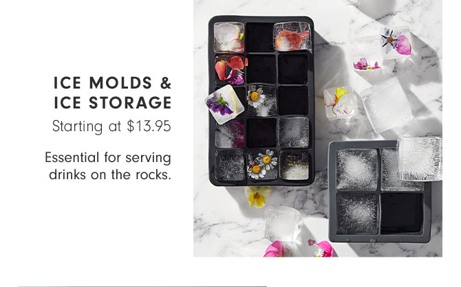 ICE MOLDS & ICE STORAGE Starting at $13.95 - Essential for serving drinks on the rocks.