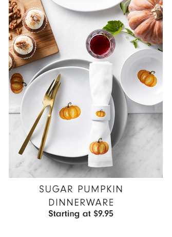 SUGAR PUMPKIN DINNERWARE - Starting at $9.95