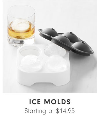 ICE MOLDS - Starting at $14.95