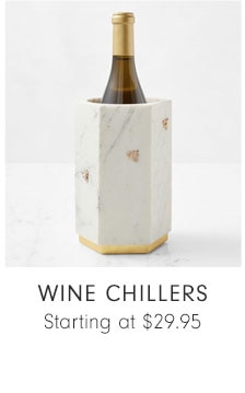 WINE CHILLERS - Starting at $29.95