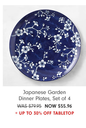 Japanese Garden Dinner Plates, Set of 4 - NOW $55.96 + Up to 30% Off Tabletop