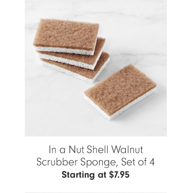 In a Nut Shell Walnut Scrubber Sponge, Set of 4 - Starting at $7.95