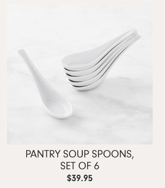 Pantry Soup Spoons, Set of 6 $39.95