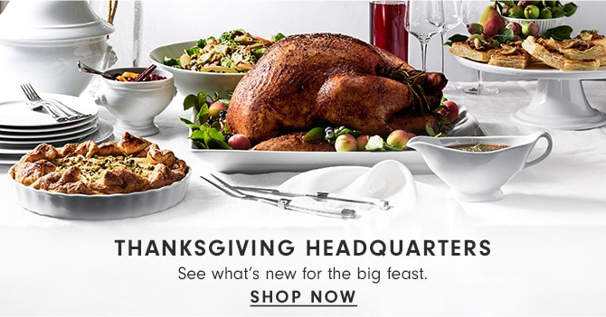 THANKSGIVING HEADQUARTERS - SHOP NOW