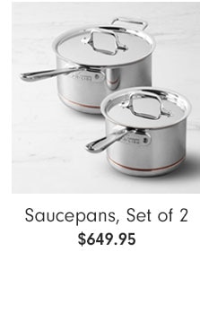 Saucepans, Set of 2 Starting at $699.95