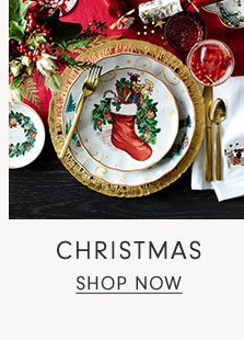 CHRISTMAS - SHOP NOW