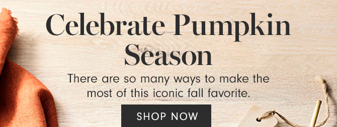 Celebrate Pumpkin Season - SHOP NOW