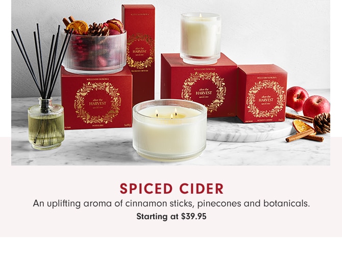 SPICED CIDER - Starting at $39.95