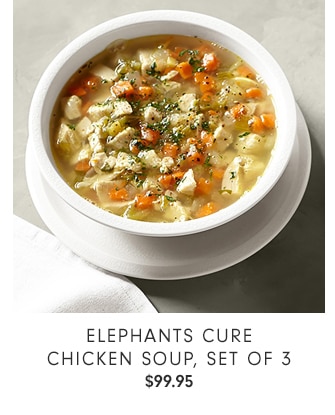 ELEPHANTS CURE CHICKEN SOUP, SET OF 3 - $99.95