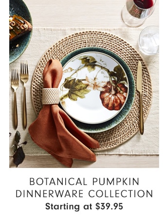 Botanical Pumpkin Dinnerware Collection - Starting at $39.95 