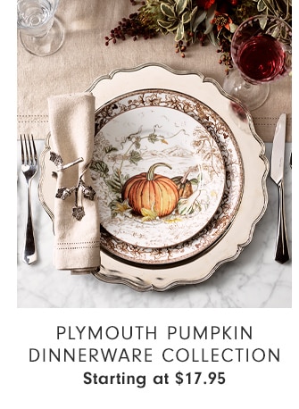 Plymouth Pumpkin Dinnerware Collection - Starting at $17.95 