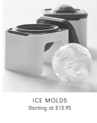 Ice Molds - Starting at $13.95