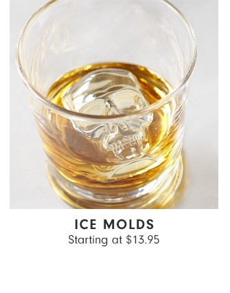 Ice Molds - Starting at $13.95