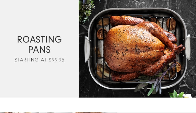 ROASTING PANS - STARTING AT $99.95