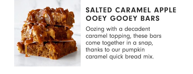 Salted Caramel Apple Ooey Gooey Bars - Oozing with a decadent caramel topping, these bars come together in a snap, thanks to our pumpkin caramel quick bread mix.