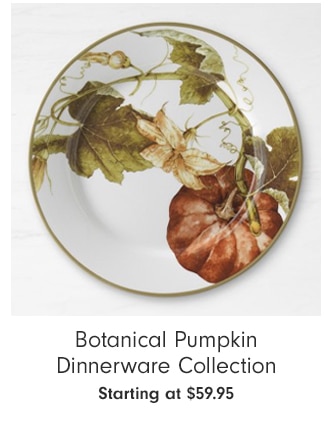 Botanical Pumpkin Dinnerware Collection - Starting at $59.95