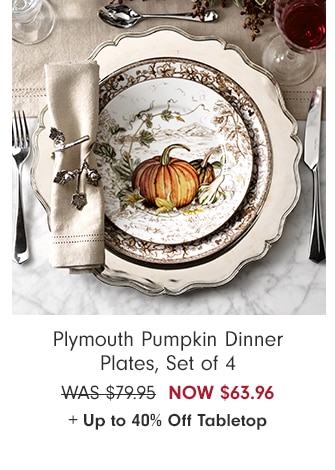 Plymouth Pumpkin Dinner Plates, Set of 4 - NOW $63.96 + Up to 40% Off Tabletop