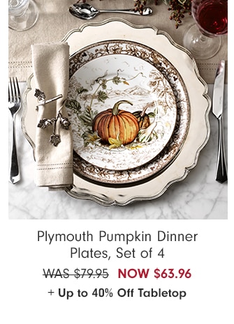 Plymouth Pumpkin Dinner Plates, Set of 4 - NOW $63.96 + Up to 40% Off Tabletop