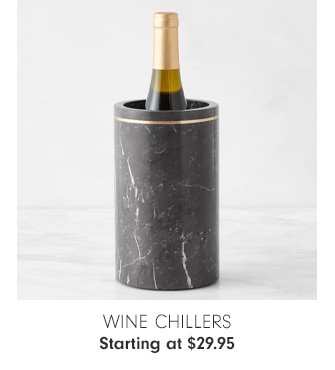 Wine Chillers - Starting at $29.95