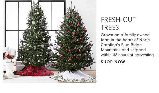 Fresh-Cut Trees - Shop Now