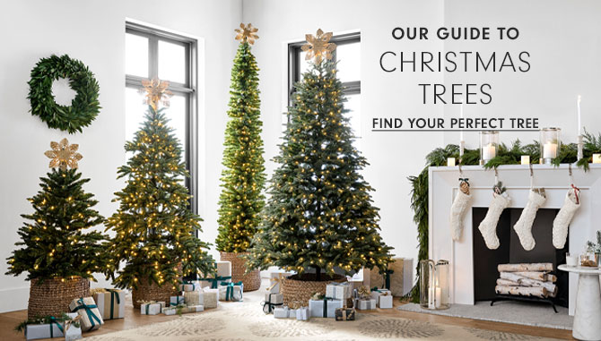 Our Guide to Christmas Trees - Find Your Perfect Tree