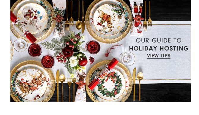 OUR GUIDE TO HOLIDAY HOSTING - VIEW TIPS