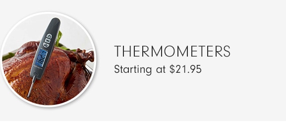 THERMOMETERS - Starting at $21.95