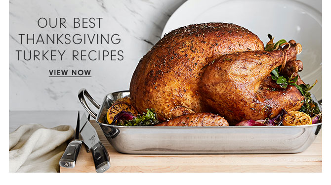 Our best Thanksgiving turkey Recipes - VIEW NOW