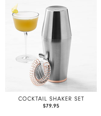 Cocktail Shaker Set $79.95