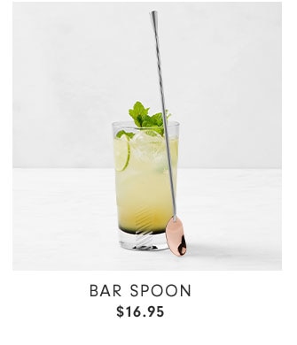 Bar Spoon $16.95