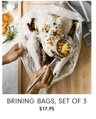 Brining Bags, Set of 3 $17.95