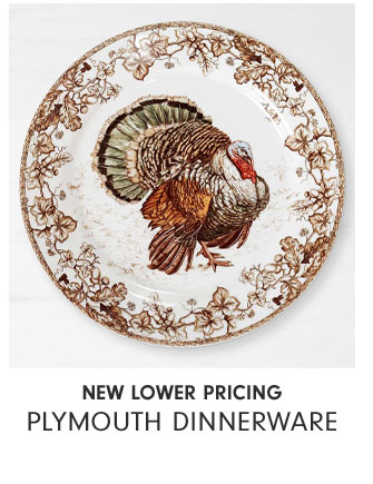 NEW Lower pricing Plymouth Dinnerware