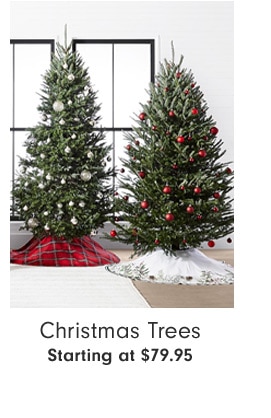 Christmas Trees Starting at $79.95