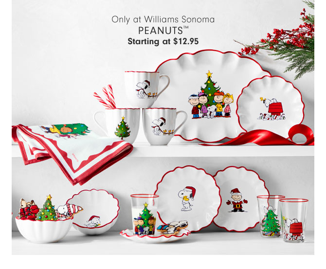 Only at Williams Sonoma - Peanuts™ Starting at $12.95