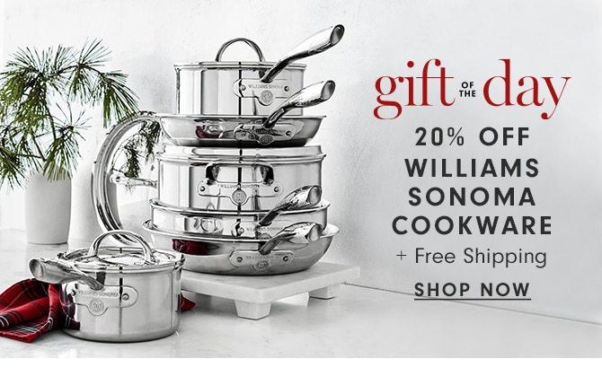 gift of the day - 20% OFF WILLIAMS SONOMA COOKWARE - SHOP NOW