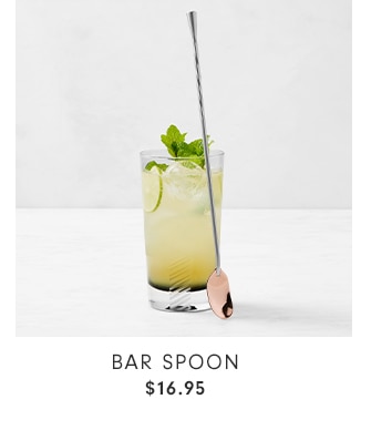 Bar Spoon - $16.95