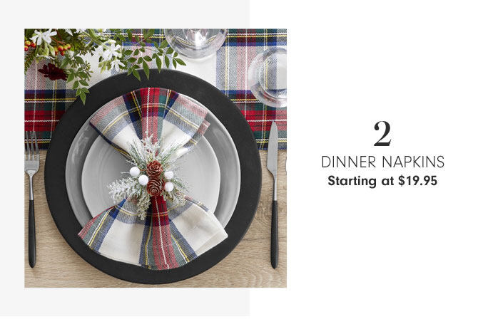 2 - Dinner Napkins Starting at $19.95