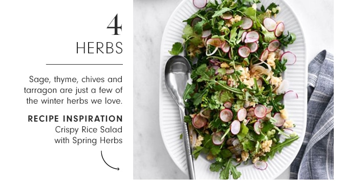 HERBS - RECIPE INSPIRATION - Crispy Rice Salad with Spring Herbs