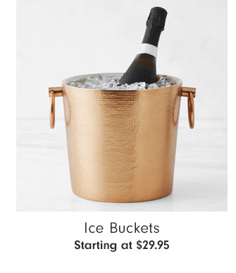 Ice Buckets Starting at $29.95