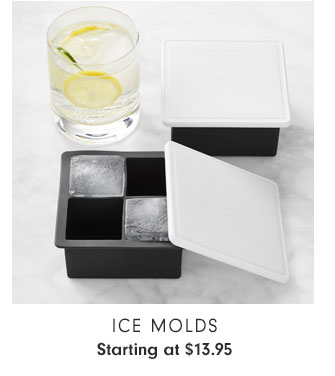 Ice Molds Starting at $13.95