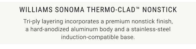 Williams Sonoma Thermo-Clad Nonstick