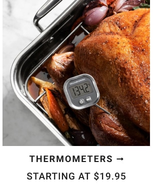 Thermometers - Starting at $19.95